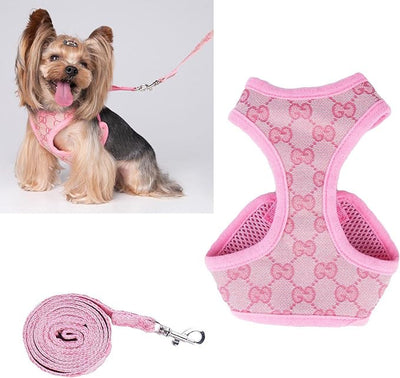 Bella Harness & Leash Warped Set