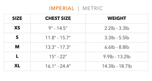 Bella Harness & Leash Warped Set