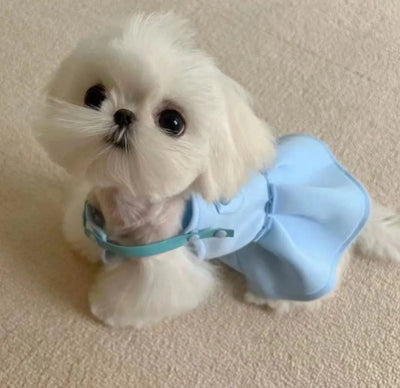 Princess Luny Next Dress