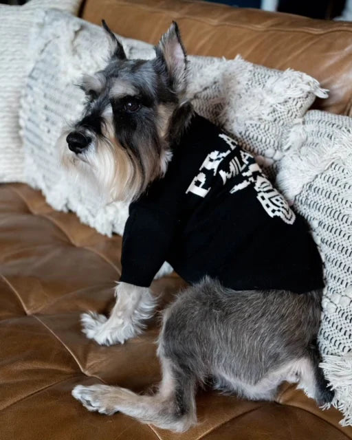 Prada Classic Next Sweater