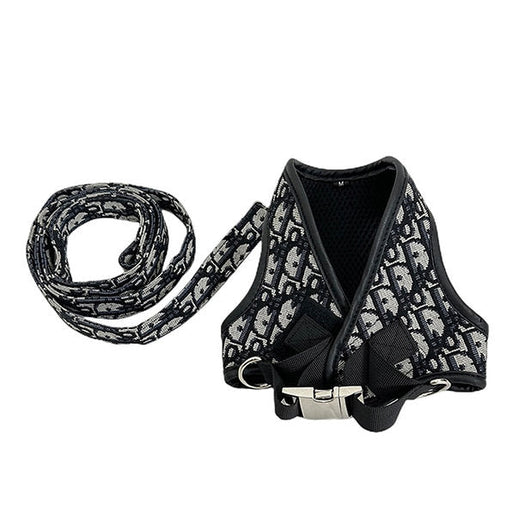 DD Harness & Leash Icy Set