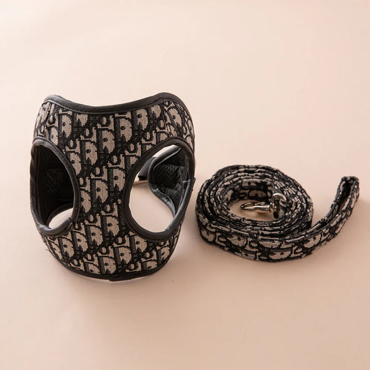 DD Harness & Leash Icy Set