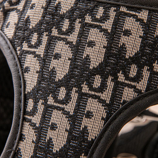 DD Harness & Leash Icy Set