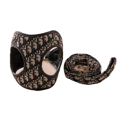 DD Harness & Leash Icy Set