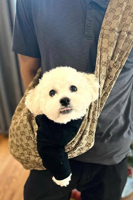 GG Dog FancyCarrier