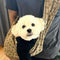 Designer Dog Fancy Carrier