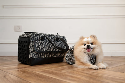 Larina Travel Washed Bag