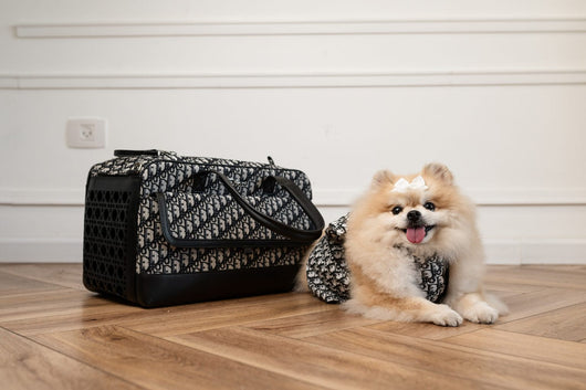 Larina Travel Washed Bag