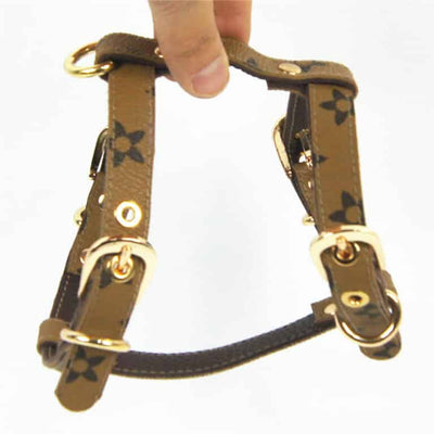 Dina Harness & Leash Vibrant Set