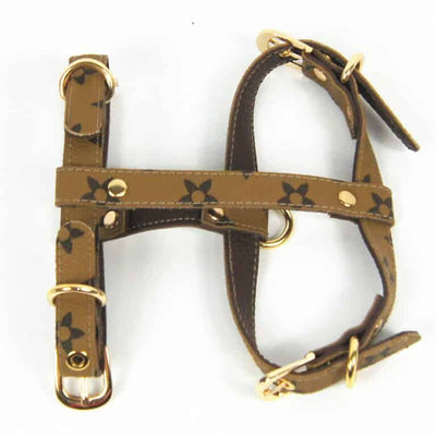 Dina Harness & Leash Vibrant Set