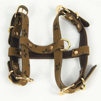 Dina Harness & Leash Vibrant Set