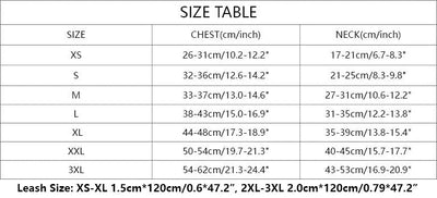 Dina Harness & Leash Vibrant Set