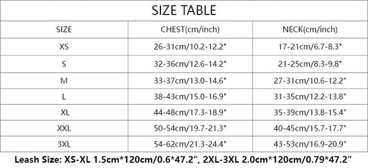 Dina Harness & Leash Vibrant Set