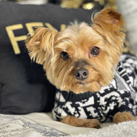 Boss Hype Fly Doggo Crisp Sweater