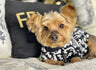 🧶 Dior Cute and Fluffy Best Seller Sweater