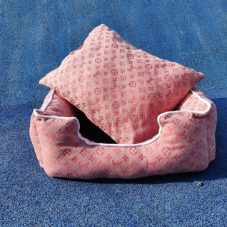 ✨ Dear Doggo Pet Gear - Premium Quality Dog Accessories