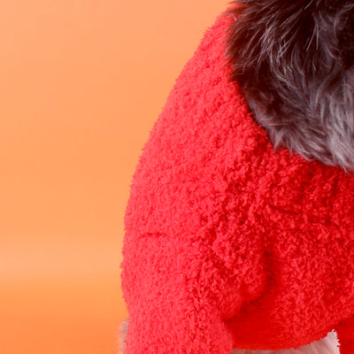 CC Classic FancySweater