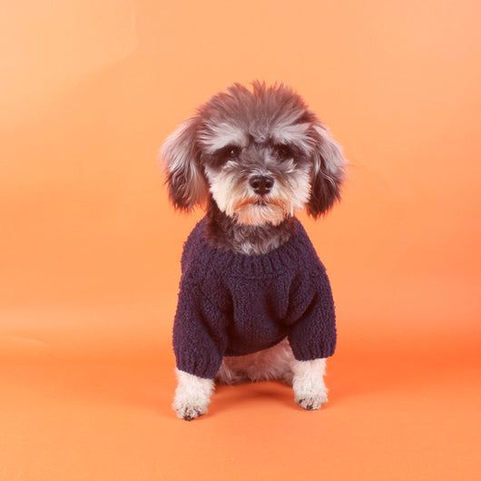 CC Classic FancySweater