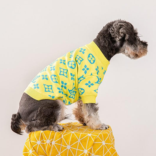 Luxury Puppy Dusty Sweater