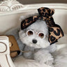 🕶️ Dear Doggo Sunglasses - Premium Quality Dog Accessories