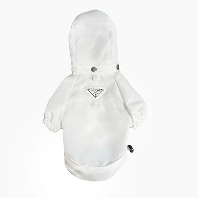 Stylish Coat Rare Dog