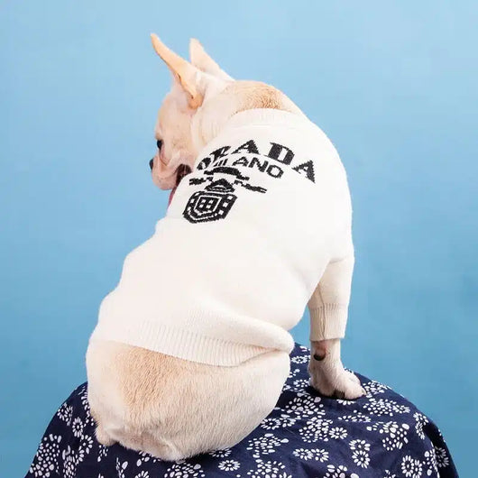Prada Dog Lo-fi Sweater