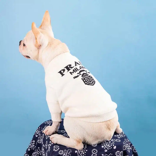 Prada Dog Lo-fi Sweater