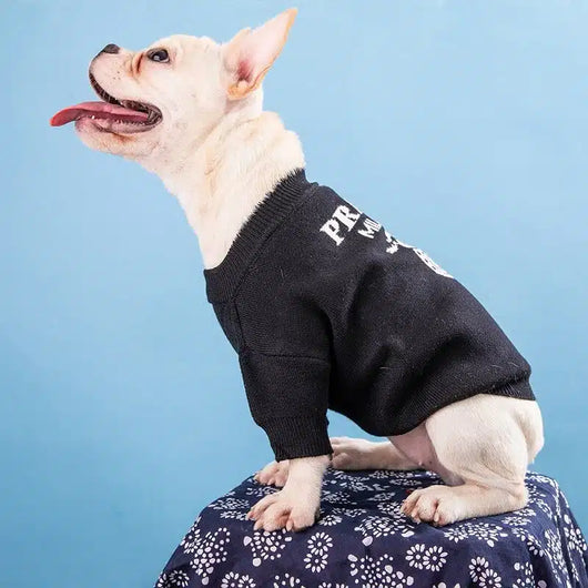 Prada Dog Lo-fi Sweater