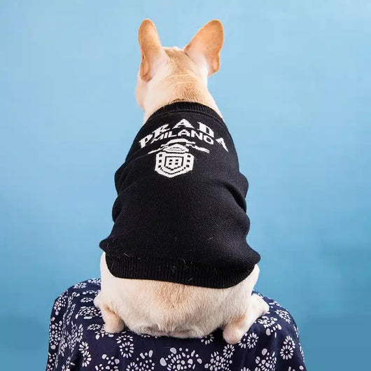 Prada Dog Lo-fi Sweater