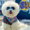 🏋️ Doggo Colorful Abstract Sweatshirt
