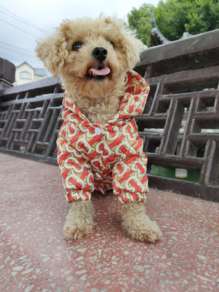 🧥 Dear Doggo Jacket - Premium Quality Dog Accessories