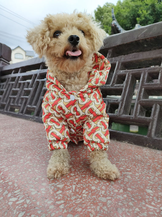 BB Swagger Luxury Furfashion Doggo Backspin Jacket