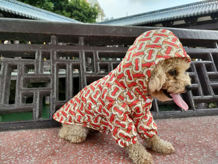 🧥 Dear Doggo Jacket - Premium Quality Dog Accessories