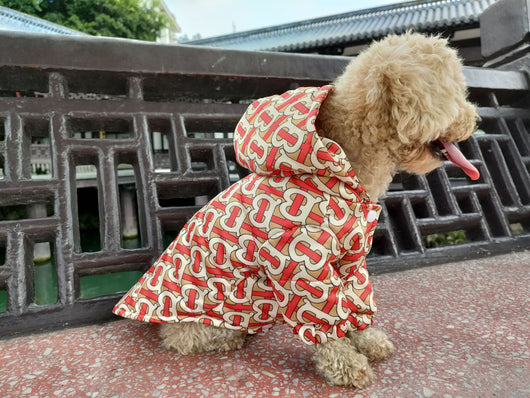 BB Swagger Luxury Furfashion Doggo Backspin Jacket