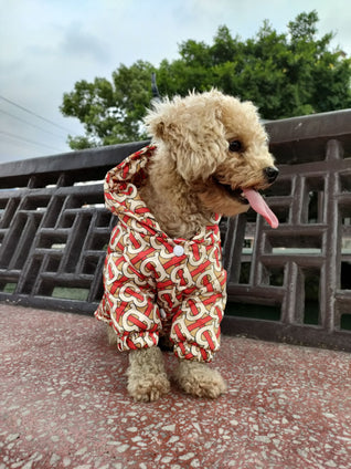 🧥 Dear Doggo Jacket - Premium Quality Dog Accessories