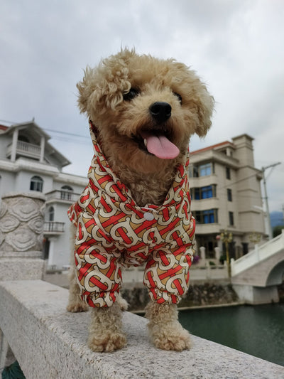 BB Swagger Luxury Furfashion Doggo Backspin Jacket