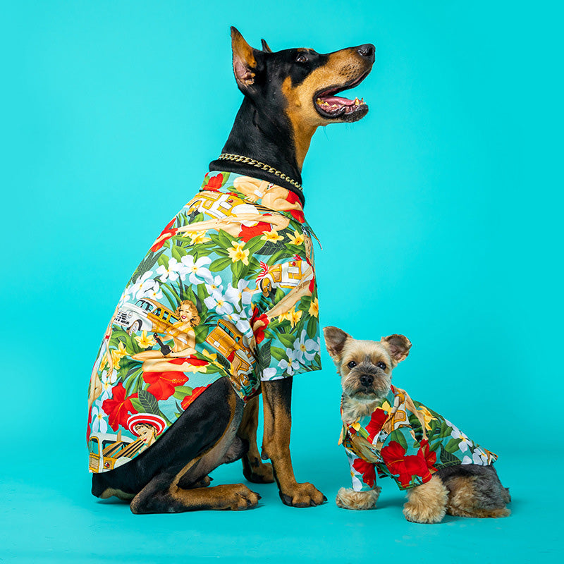 Dog wearing shops hawaiian shirt