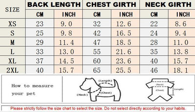 Boss Hype Fly Doggo Crisp Sweater