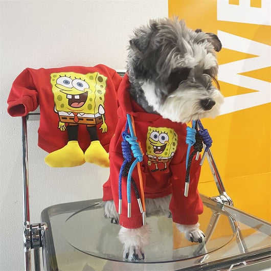 Small Dog Cute Designer Clothes