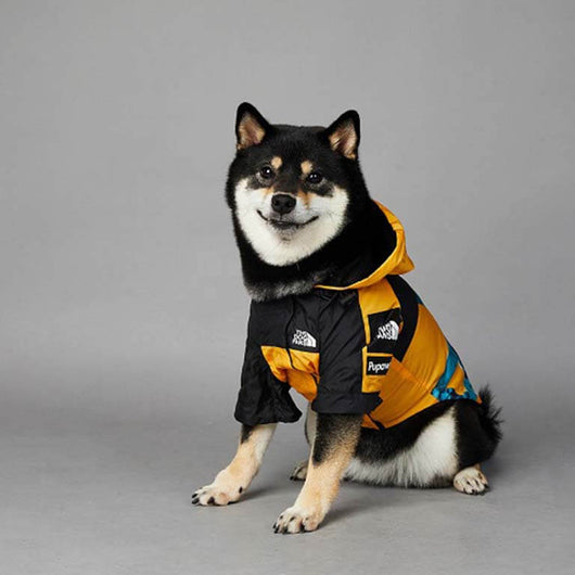 The Best New Dog Rain Flex Jacket