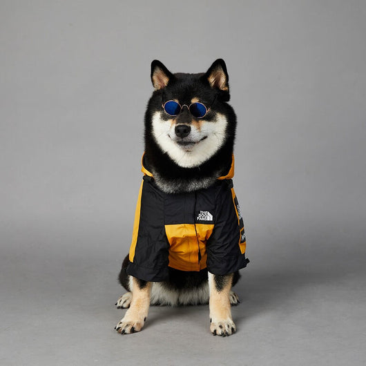 The Best New Dog Rain Flex Jacket