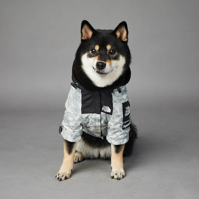 Waterproof Dog Throwie Raincoat