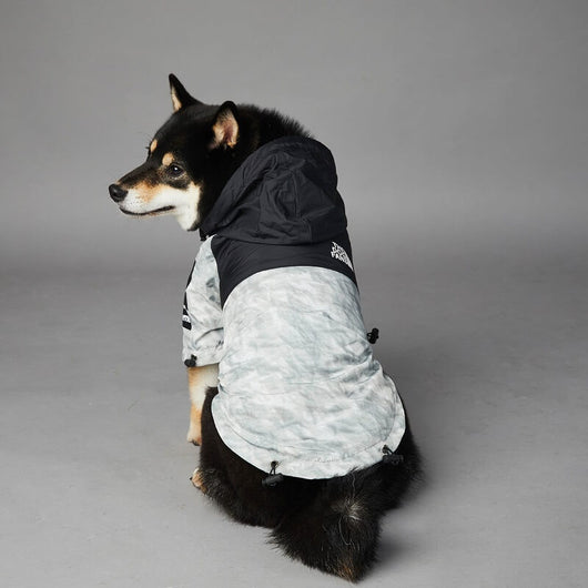 Waterproof Dog Throwie Raincoat