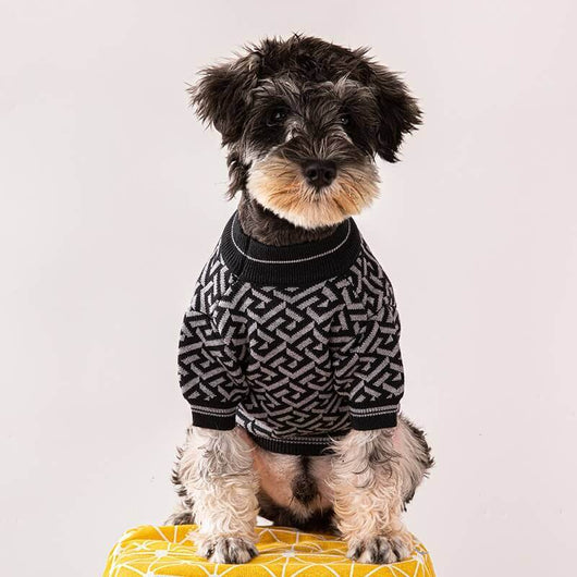 Vintage Dog Clothing For Winter