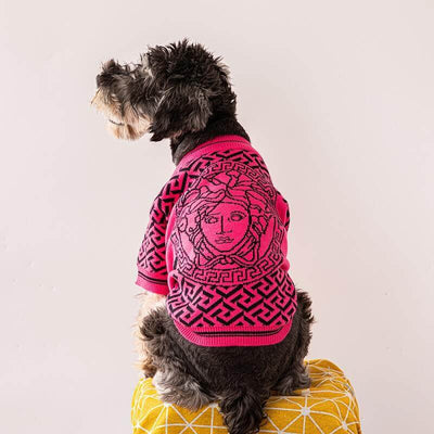 Vintage Dog Clothing For Winter