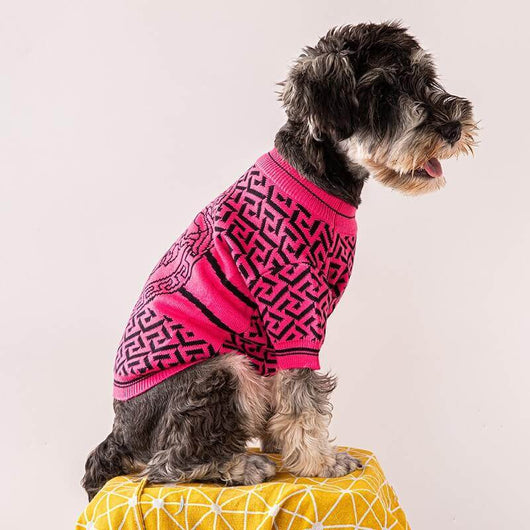 Vintage Dog Clothing For Winter
