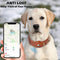 ⭐ Highend Airtag Dog Amped Collar