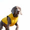 PAWSMOMENT Sleeveless Windbreaker