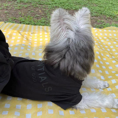 Pet Dog Lo-fi Clothes