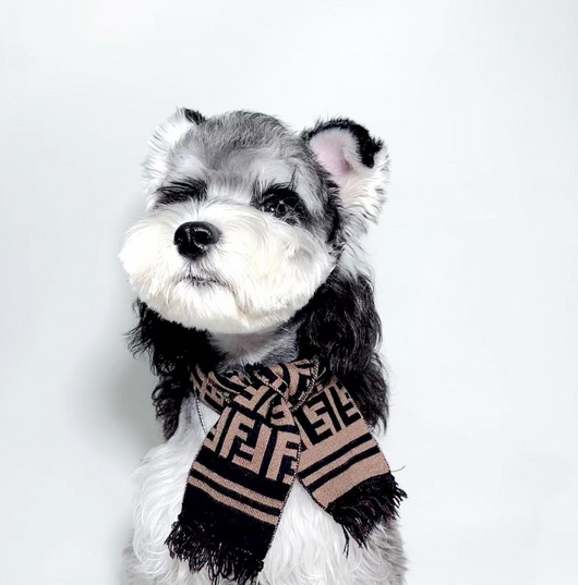 Pendog Brown Flex Scarf